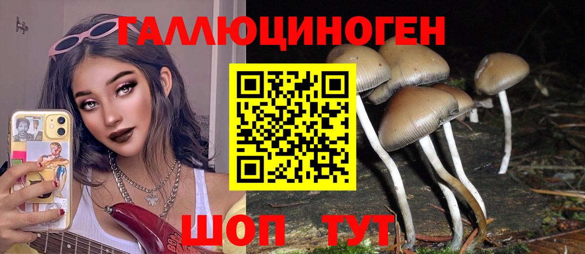 Междуреченск  Псилоцибиновые грибы Magic Shrooms  Псилоцибиновые грибы Magic Shrooms  Вход с VPN 